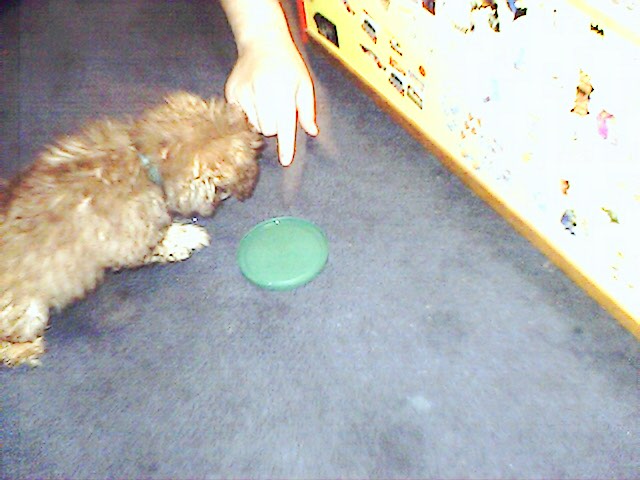 d0c_080.jpg